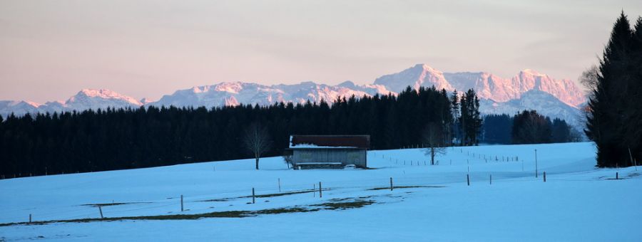 Nachtlaufen im Eschenloh
